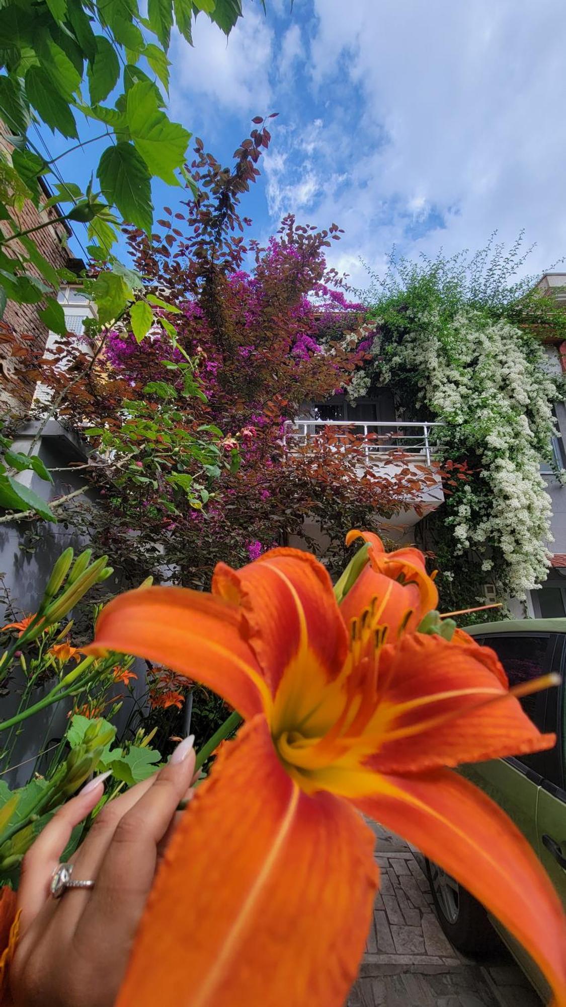 A Cheerful Villa With Free Parking Space Tiranë Bilik gambar